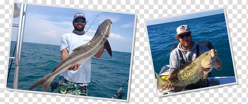 Bradenton-Sarasota-Venice, FL Metropolitan Statistical Area Gulf Cart Fishing Charters Leisure, Fishing transparent background PNG clipart