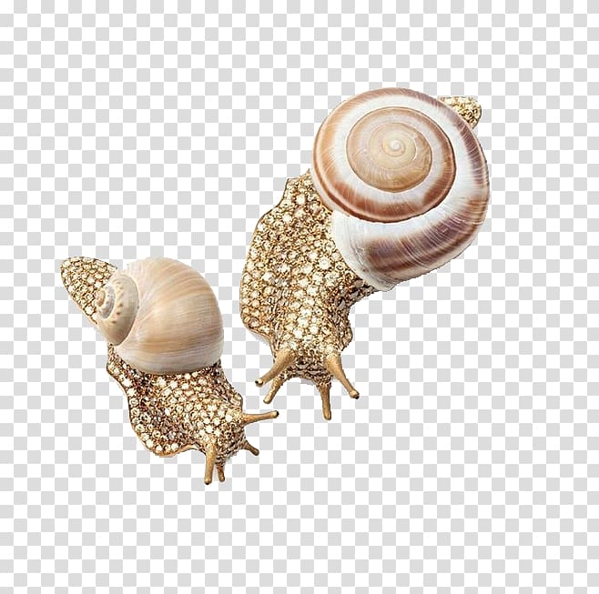 Brooch Jewellery Diamond Hemmerle Fibula, Golden Snail transparent background PNG clipart