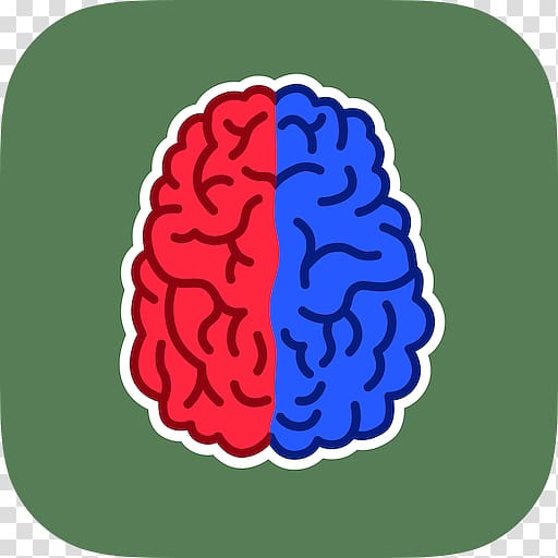 Left vs Right: Brain Training Brain Training Exercise Cognitive training Lateralization of brain function, Brain transparent background PNG clipart