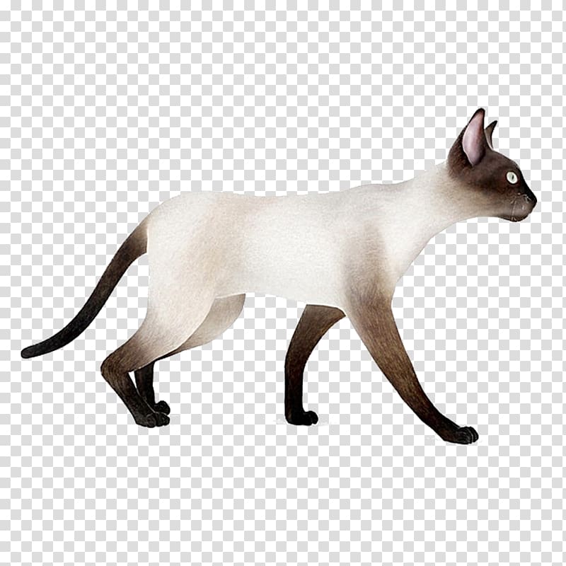 Siamese cat Whiskers Domestic short-haired cat 3D modeling 3D computer graphics, White Cat transparent background PNG clipart