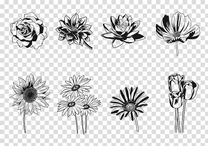 Floral design Silhouette Flower, Flowers Silhouette transparent background PNG clipart