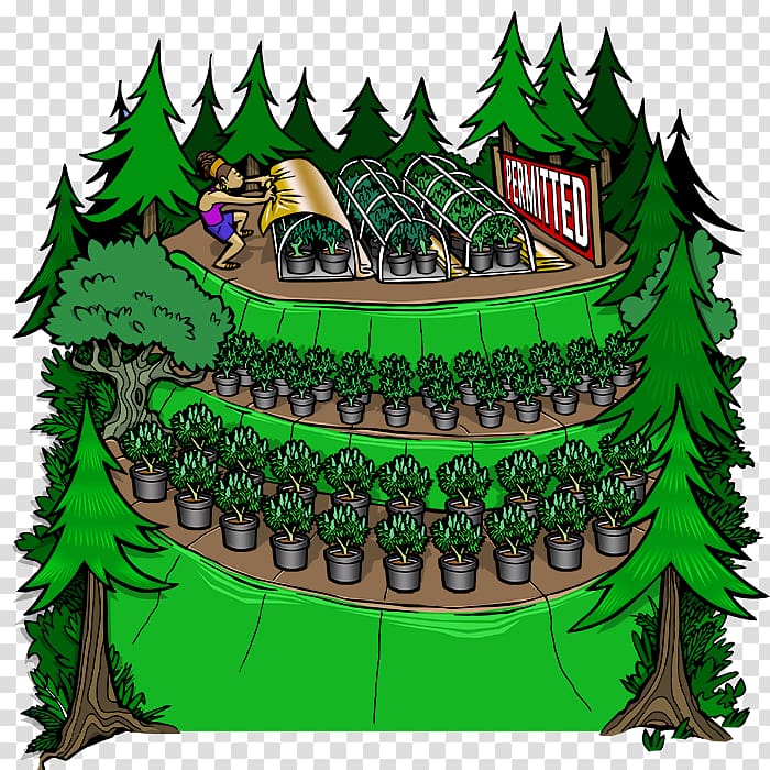 Emerald Triangle Reggae on the River Mateel Community Center Hemp Tetrahydrocannabinol, Famous Mountain transparent background PNG clipart