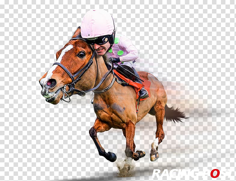 Paddy Power Ascot Racecourse Sports betting Horse racing Casino, others transparent background PNG clipart