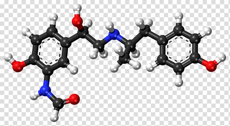 Lipoic acid P-Coumaric acid Antioxidant, model transparent background PNG clipart