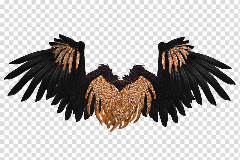 black and brown wings illustration, Wings Black and Brown Crow transparent background PNG clipart