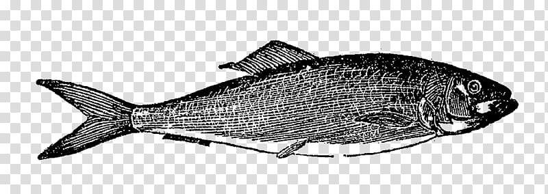 Milkfish Digital stamp Fishing Northern red snapper, fish illustration transparent background PNG clipart