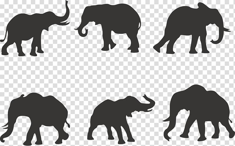 gray elephants illustration, African elephant Silhouette Indian elephant, 6 elephant silhouette transparent background PNG clipart