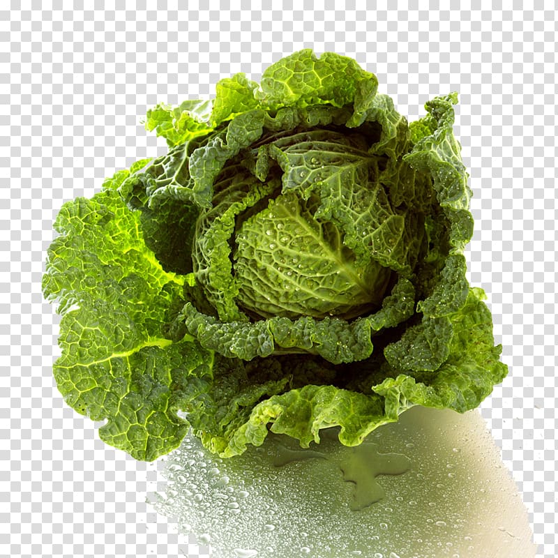 Cabbage Lettuce Vegetable Nutrition, Chinese cabbage transparent background PNG clipart