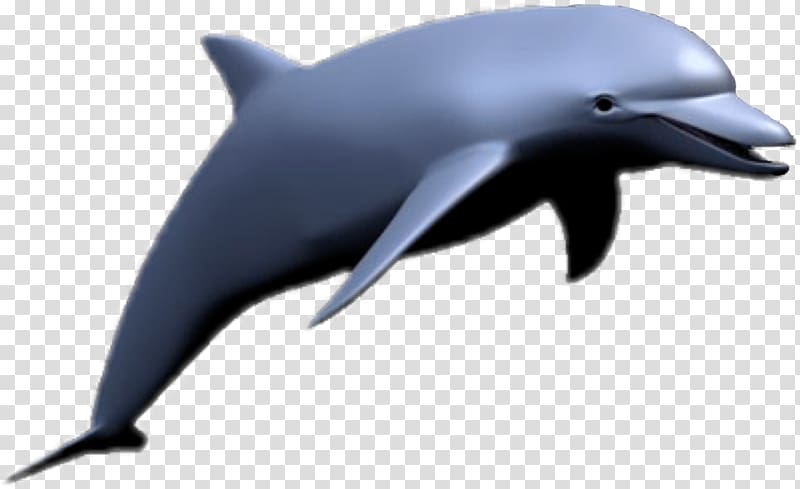 Dolphin Meme Vaporwave Seapunk, dolphin transparent background PNG clipart