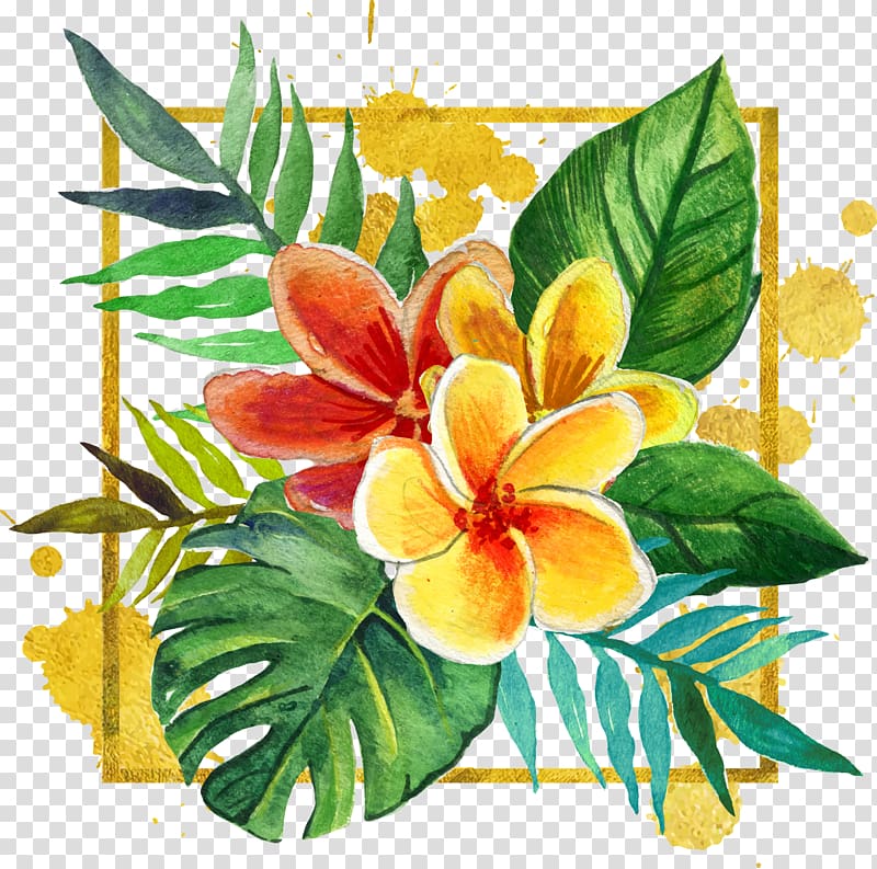 red and yellow plumeria flowers , Flower Adobe Illustrator, Hand-painted flowers label transparent background PNG clipart