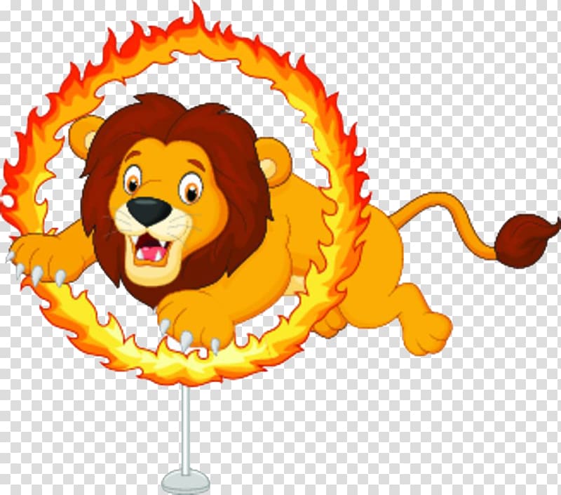 Lion Cartoon Circus Illustration, A lion who crosses a circle of fire transparent background PNG clipart