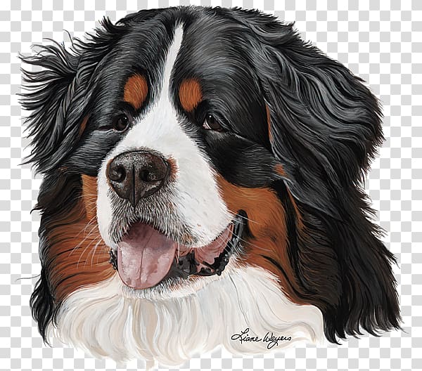 Cavalier King Charles Spaniel Bernese Mountain Dog Greater Swiss Mountain Dog Entlebucher Mountain Dog Dog breed, good-looking transparent background PNG clipart