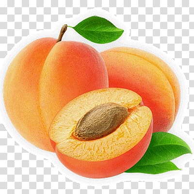 Apricot oil Apricot kernel Lotion, apricot transparent background PNG clipart