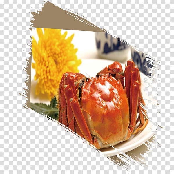 Yangcheng Lake large crab Chinese mitten crab Seafood, Yangcheng Lake hairy crabs transparent background PNG clipart