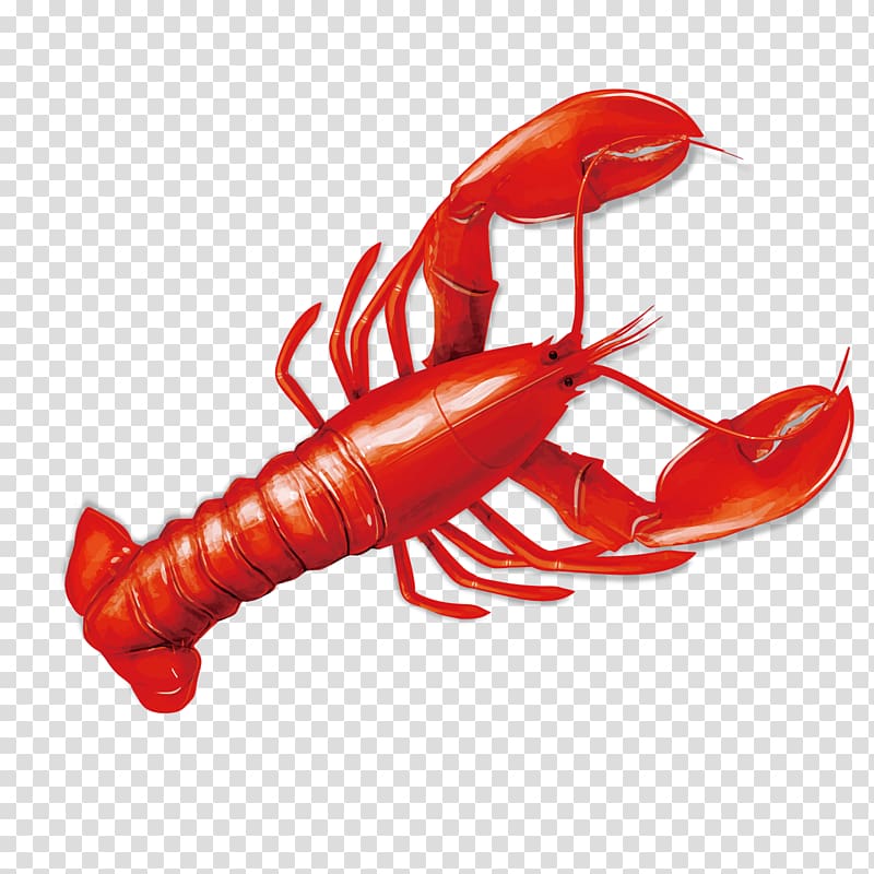 Lobster Seafood Crab Caridea, Delicious lobster transparent background PNG clipart