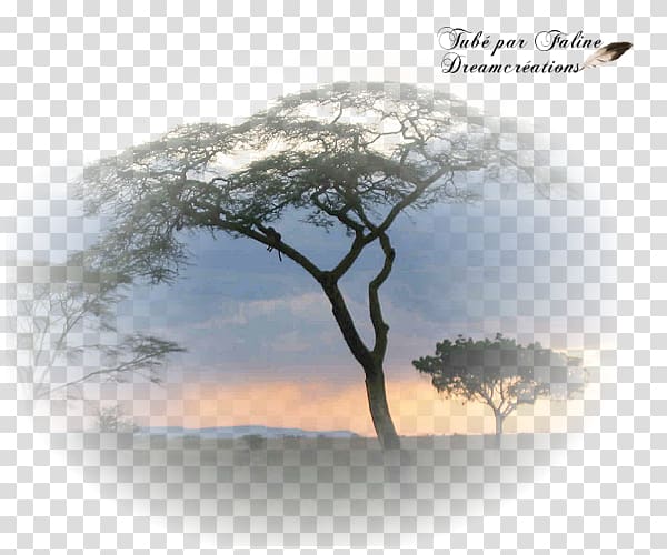 Création graphique Landscape Faline Desktop , AFRIQUE transparent background PNG clipart