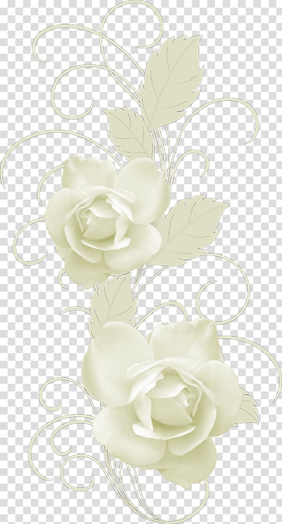 Garden roses Floral design Cut flowers Ho amato una transessuale, rose transparent background PNG clipart