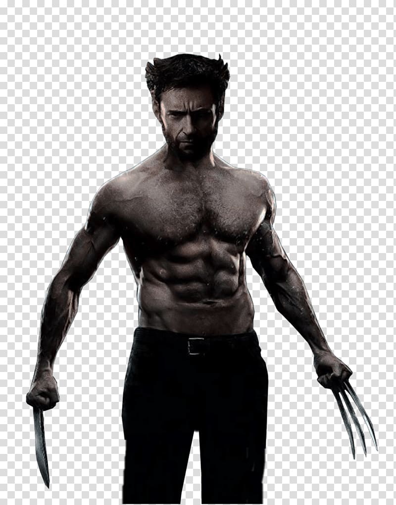 Marvel Logan Paul, Hugh Jackman Wolverine transparent background PNG clipart