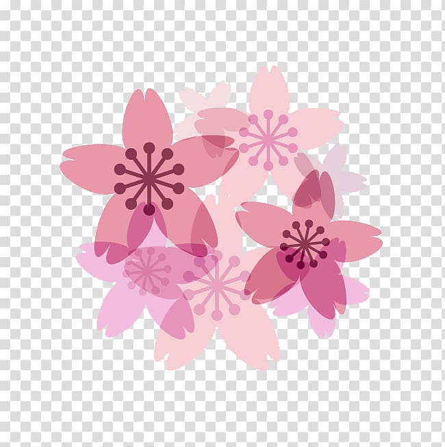Cherry blossom Petal, Floating cherry decoration transparent background PNG clipart