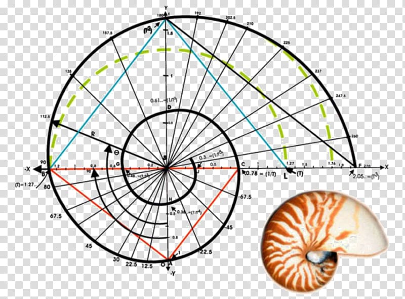 Fibonacci number Golden ratio Golden spiral Mathematics, Mathematics transparent background PNG clipart