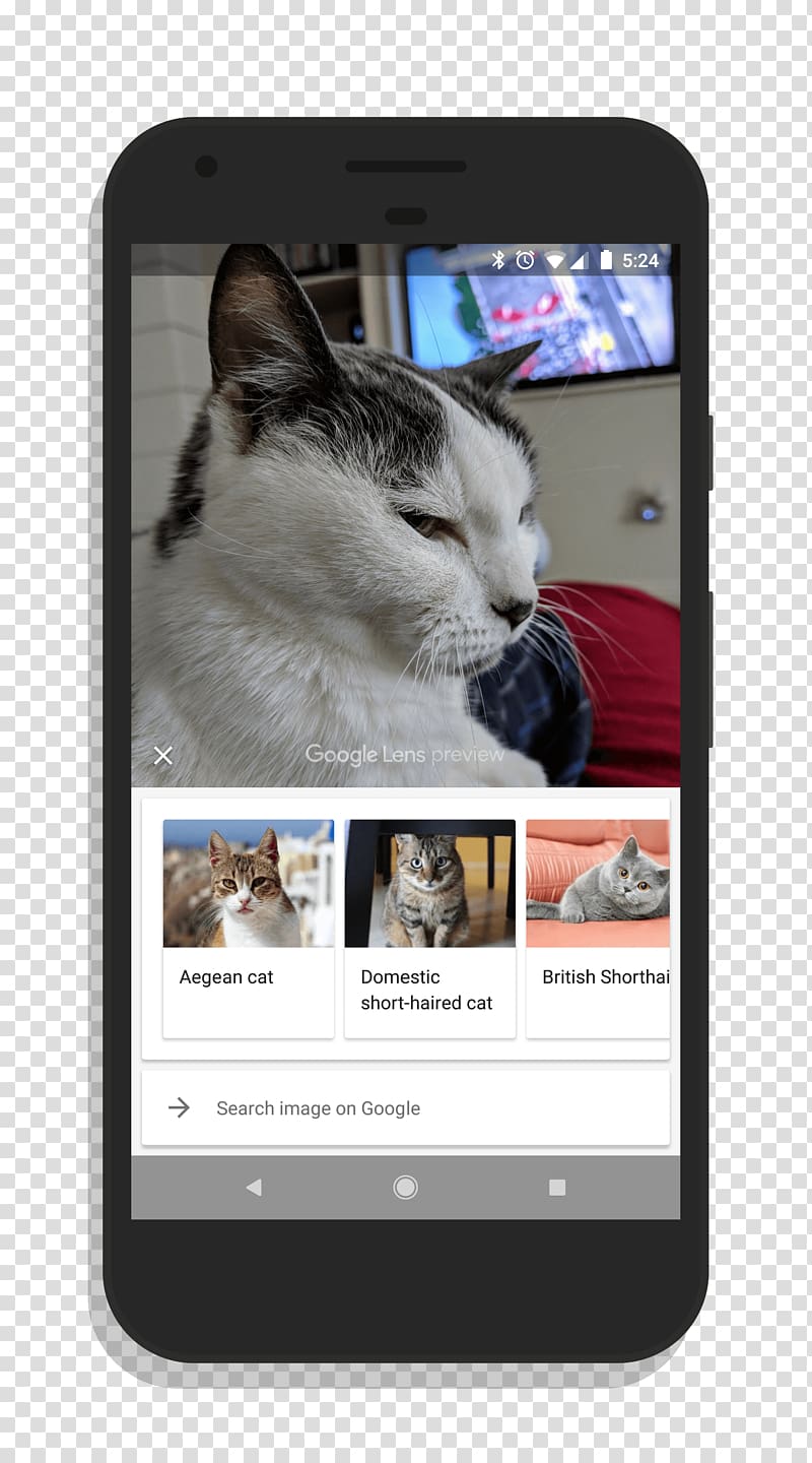 Smartphone Google Lens Google Camera Google Pixel, domestic short-haired cat transparent background PNG clipart