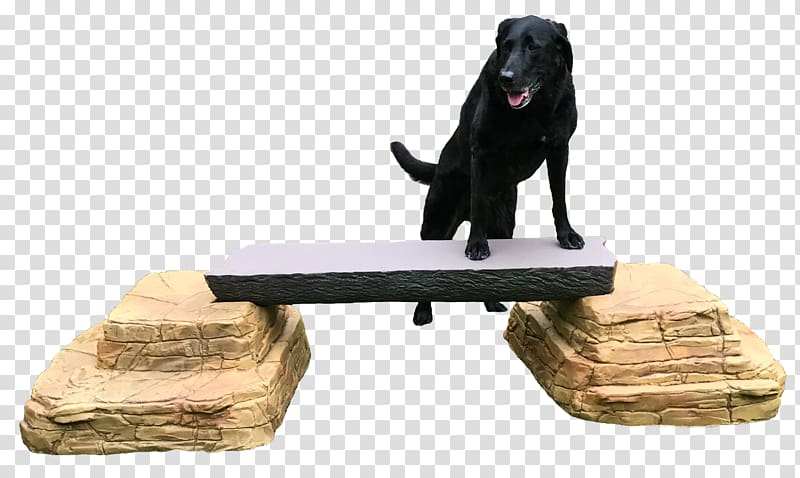 Dog Balance beam Leash Wood, Dog Park transparent background PNG clipart