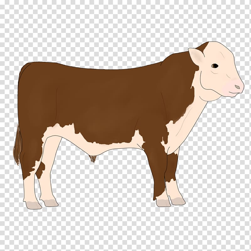 Dairy cattle Calf Ox Bull, thicket/ transparent background PNG clipart