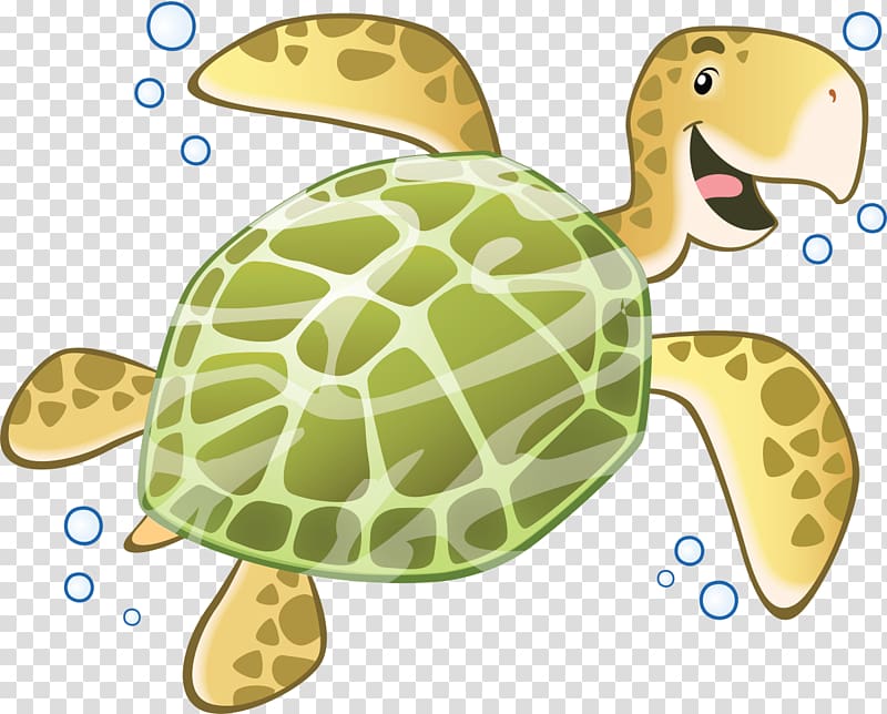 Turtle Drawing Child Sticker Mural, turtle transparent background PNG clipart