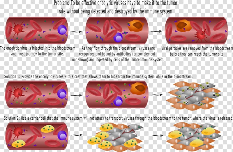 Oncolytic virus Virotherapy Immune system Cancer, planar virus cell bodies transparent background PNG clipart