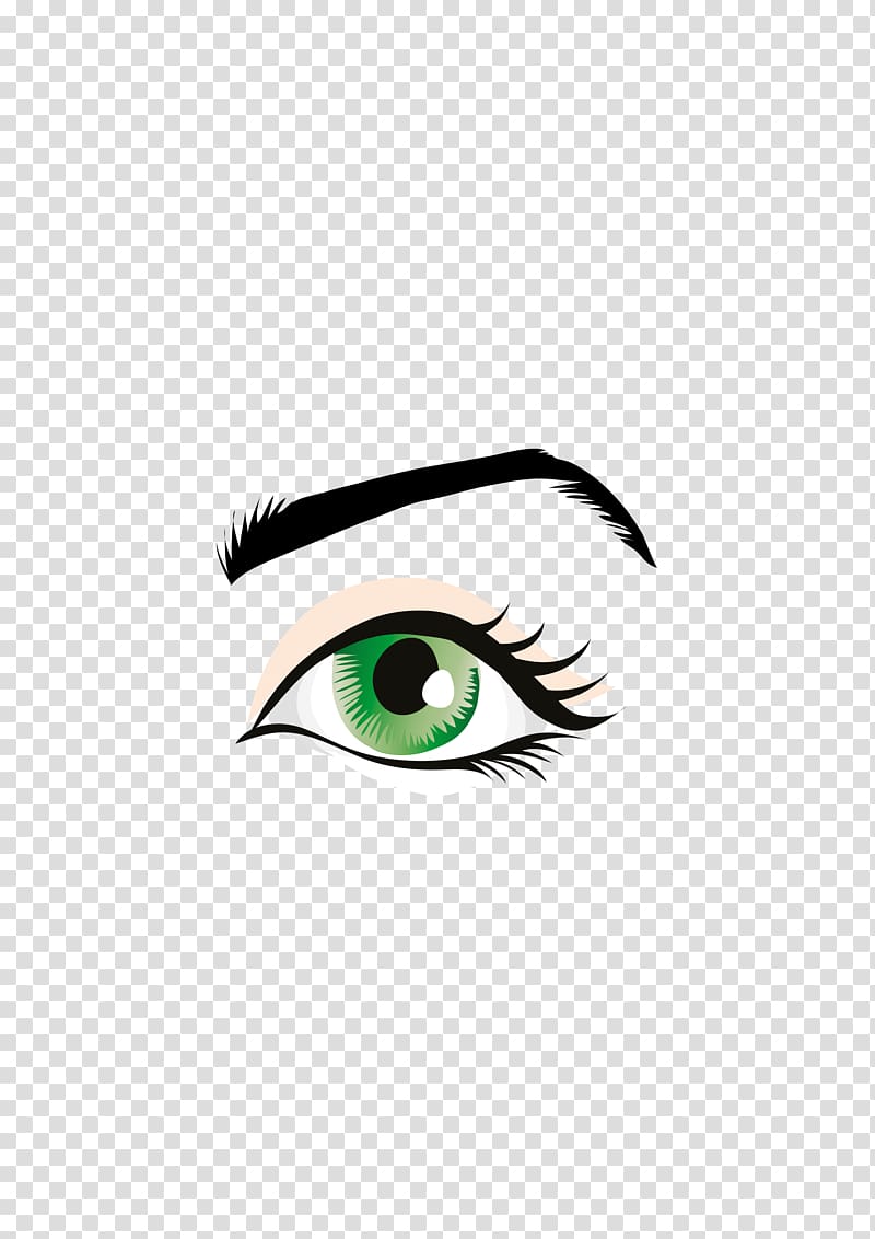 Eyebrow Eyelash Human eye , eyelash transparent background PNG clipart