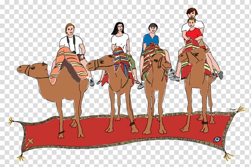 Dromedary Travel itinerary , family vacation transparent background PNG clipart