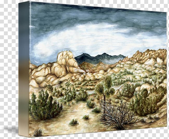 Painting Joshua tree Frames Canvas, painting transparent background PNG clipart