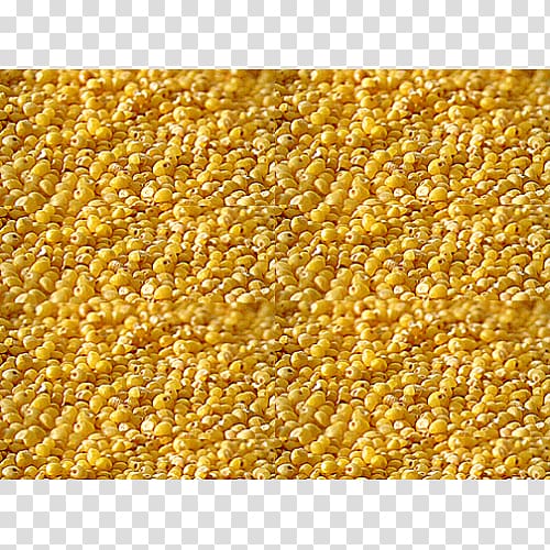 Foxtail millet Pearl millet Proso millet Manufacturing, millet transparent background PNG clipart