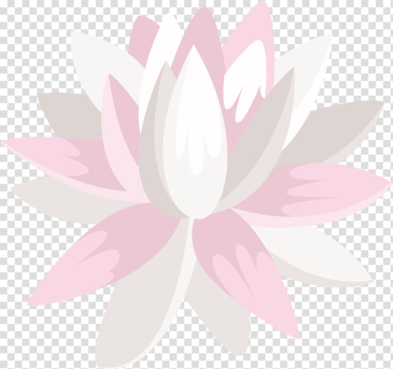 Petal Flowering plant, hand-painted white snow lotus transparent background PNG clipart