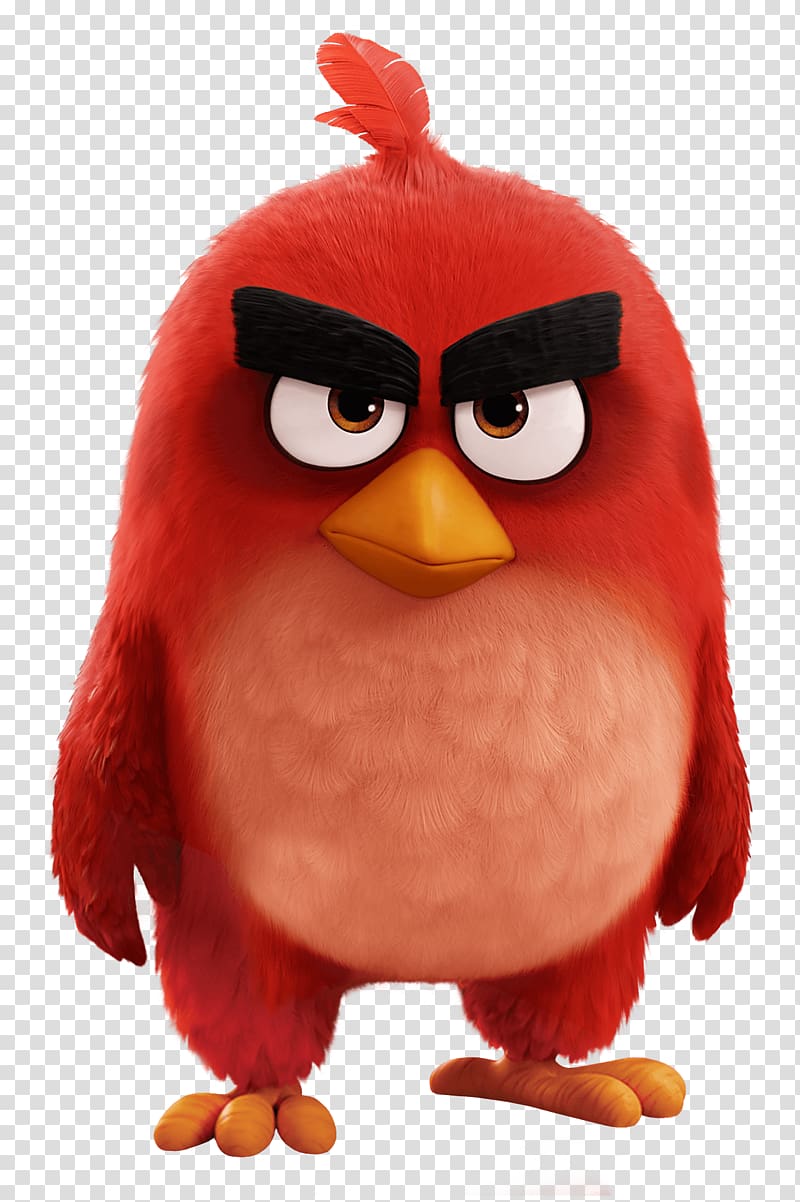 red Angry Birds illustration, Angry Birds Movie Red Bird transparent background PNG clipart