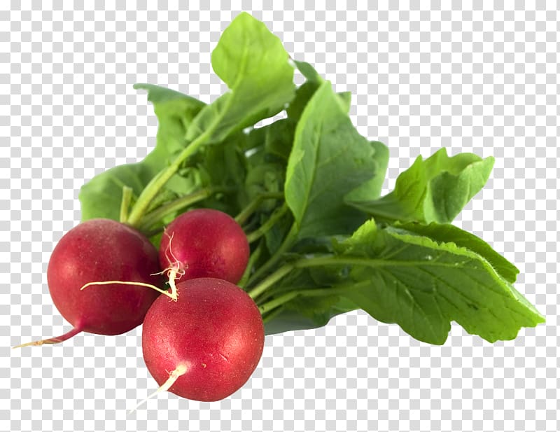 three red radishes, Foot odor Food Health, Radish transparent background PNG clipart