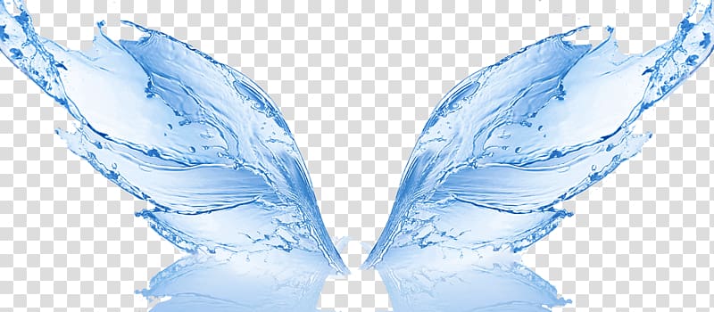 Water Filter Reverse osmosis Membrane Water treatment, Free water butterfly effect pull transparent background PNG clipart