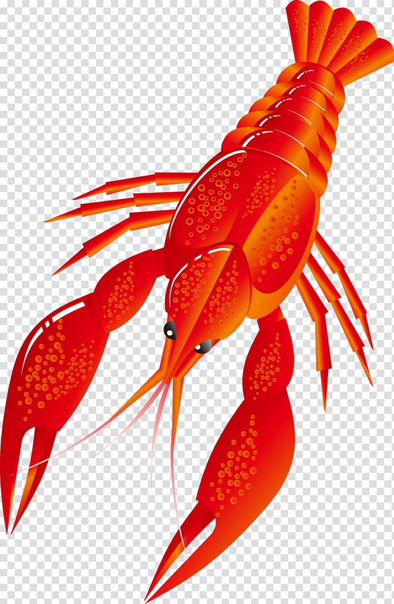 Beer Seafood Lobster Shrimp, Cartoon aquatic seafood lobster transparent background PNG clipart