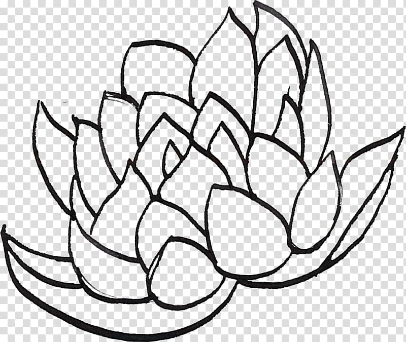 Line art Drawing , Line drawing lotus transparent background PNG clipart