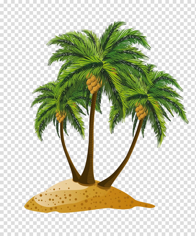 Panama City Beach , palm tree transparent background PNG clipart