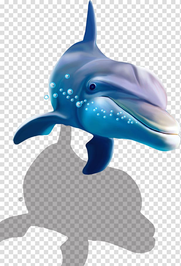 blue dolphin illustration, Common bottlenose dolphin Shark Wall decal , dolphin transparent background PNG clipart