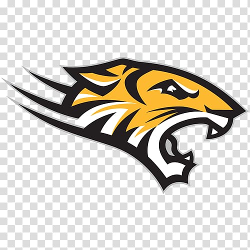 Towson University Towson Tigers football Towson Tigers men's basketball Sport, others transparent background PNG clipart