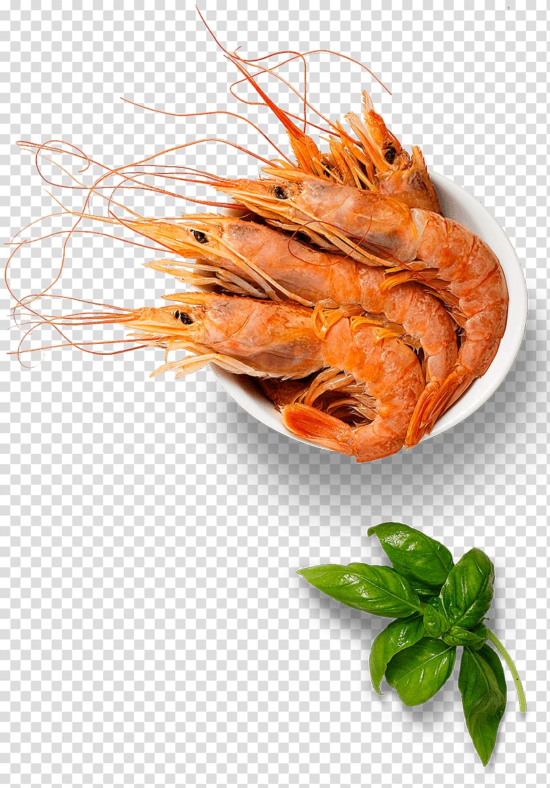 Caridea Prawns Recipe Dish Garnish, Shrimp transparent background PNG clipart