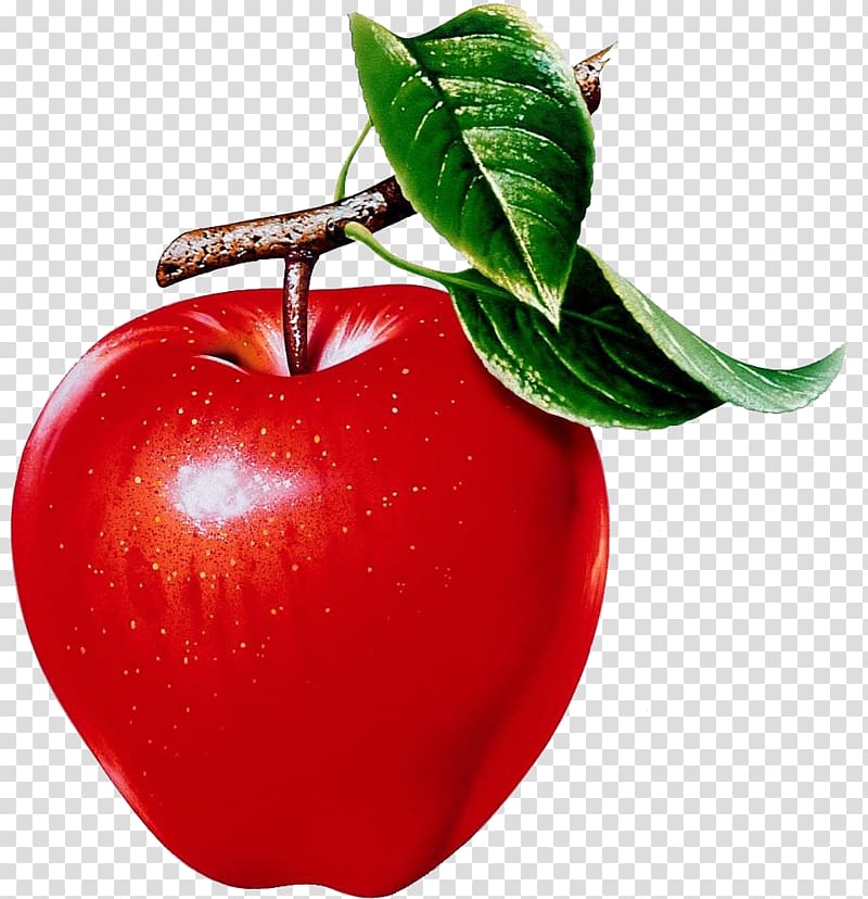 Apple Food Fruit Health , green mango transparent background PNG clipart