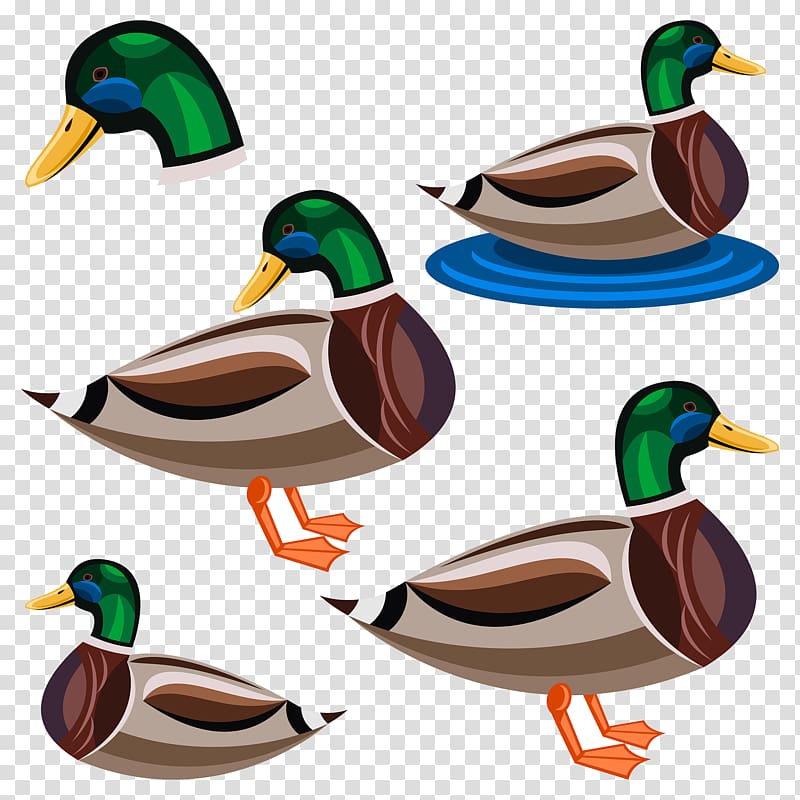 Duck Cartoon Illustration, duck transparent background PNG clipart