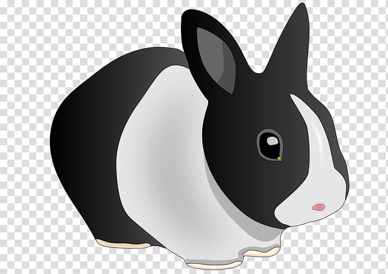 Domestic rabbit Hare Holland Lop Easter Bunny , Rabbit drawing transparent background PNG clipart