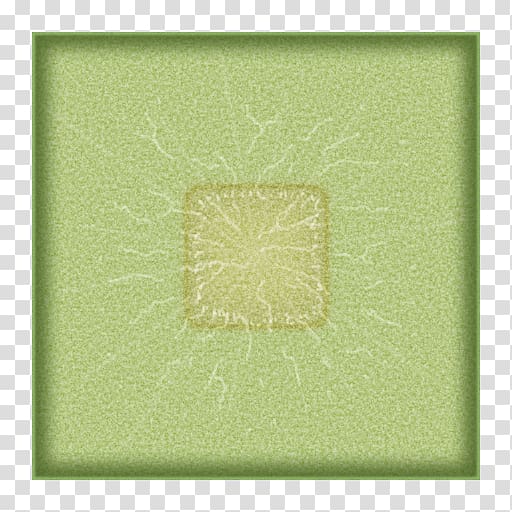 Green Rectangle Pattern, cactus top view transparent background PNG clipart