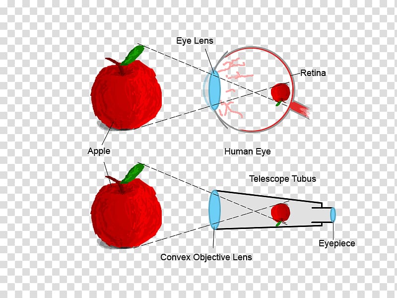 Human eye Refracting telescope Retina, Eye transparent background PNG clipart