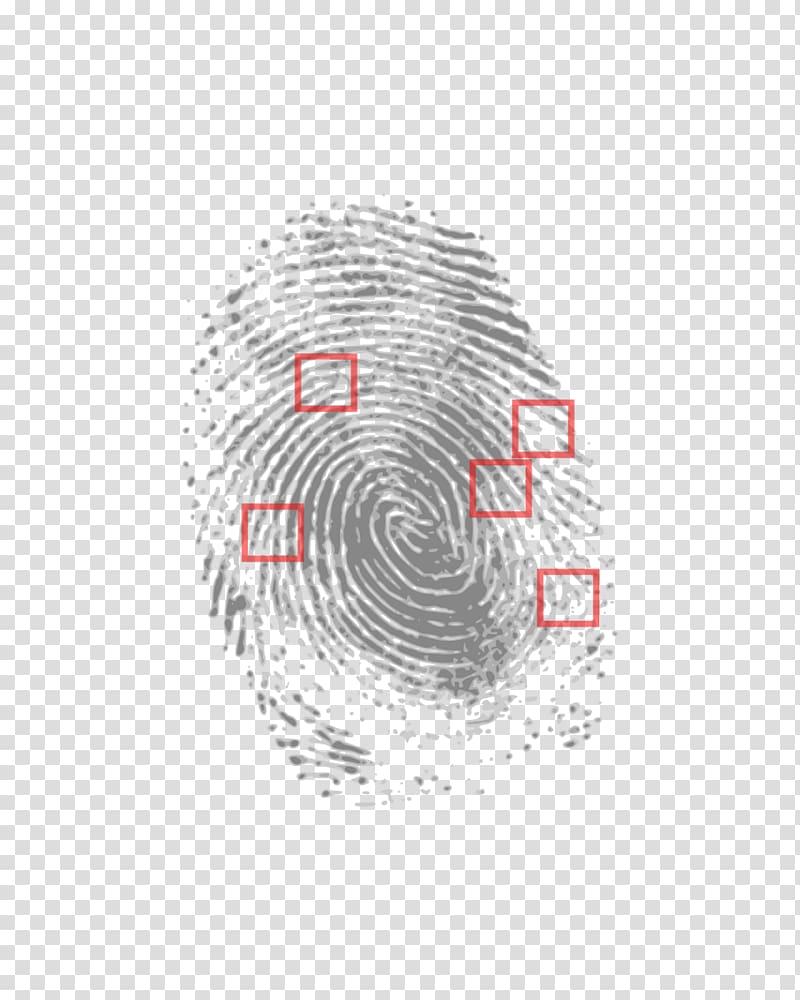 Fingerprint Crime scene Biometrics Detective, finger print transparent background PNG clipart