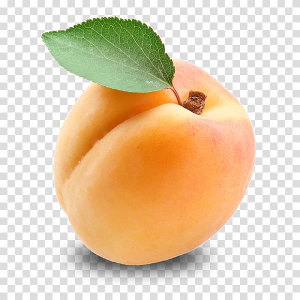 Apricot kernel Fruit Amygdalin, apricot transparent background PNG clipart